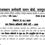 Rajasthan VDO syllabus 2025 pdf Hindi